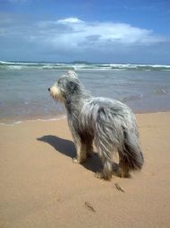 Harlyn Bay 05.09.2011